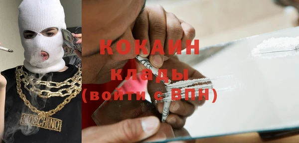сатива Каменногорск