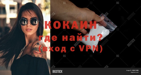 сатива Каменногорск