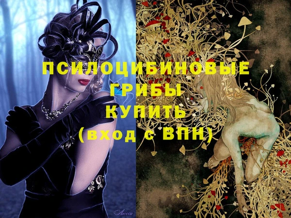 сатива Каменногорск